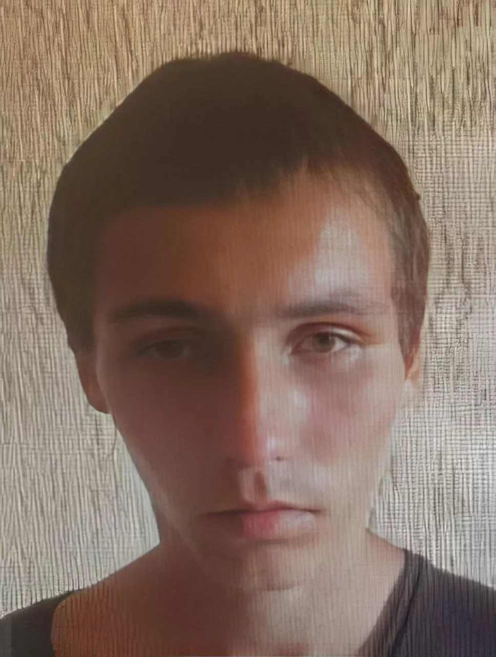 Плешев Егор Викторович Плешев Егор Викторович