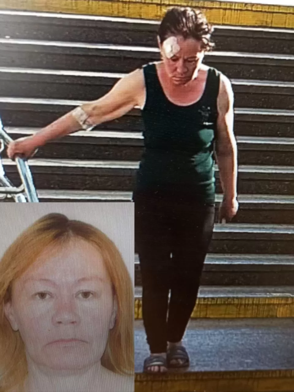 Адаменко Елена Александровна Адаменко Елена Александровна