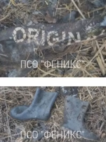 скелетированные останки скелетированные останки