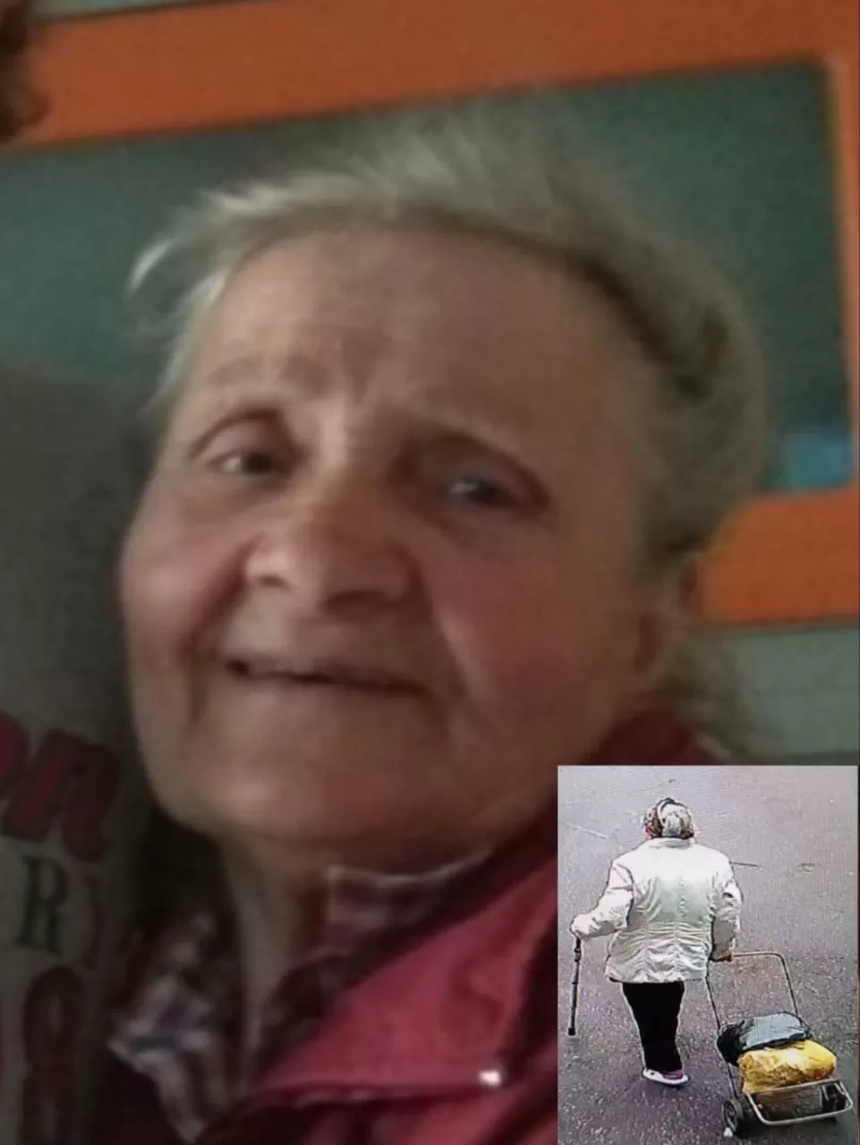 Галушко Тамара Алексеевна Галушко Тамара Алексеевна