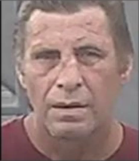 Степанович Вячеслав Владимирович Степанович Вячеслав Владимирович