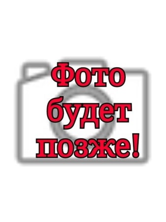 Ананич Анатолий  Иванович Ананич Анатолий  Иванович